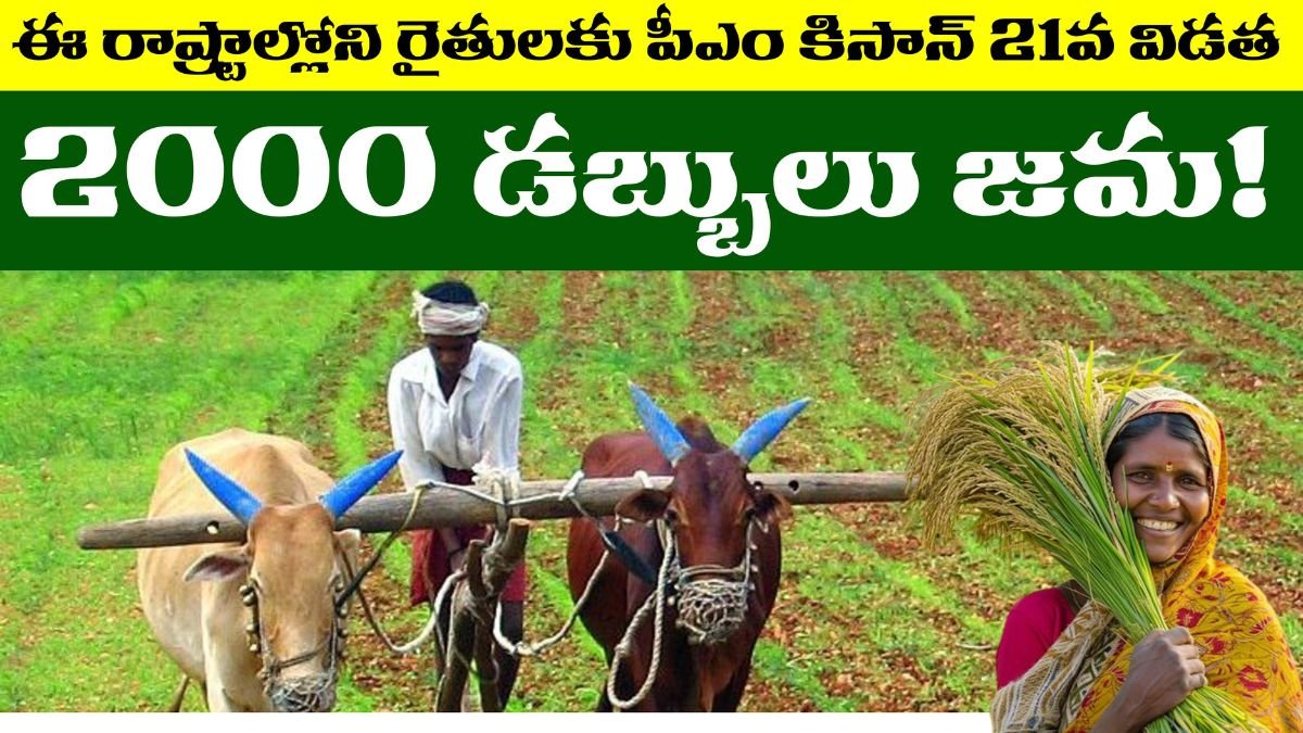 PM Kisan 21st Installment Payment Status